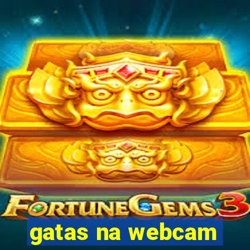gatas na webcam